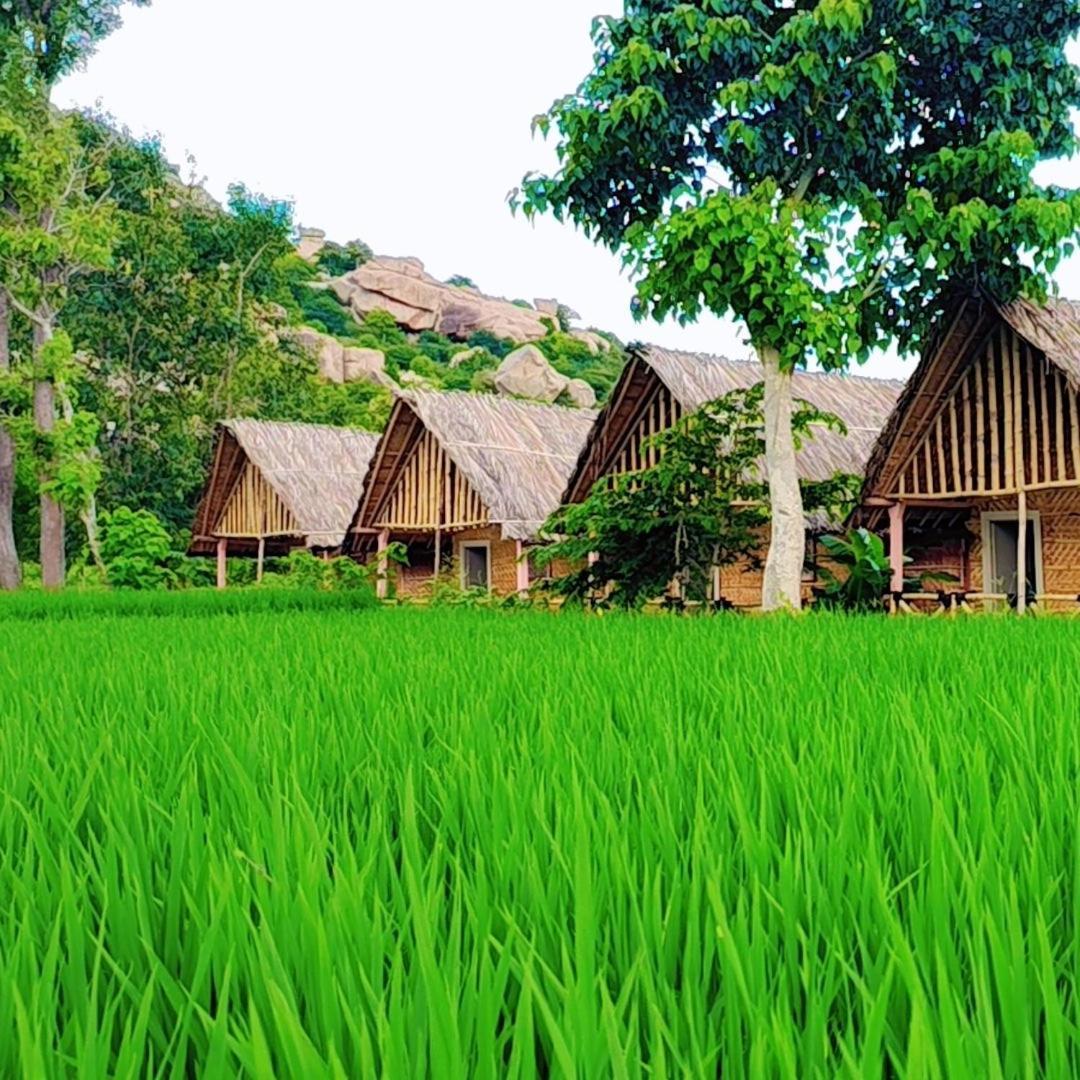 Om Shanti Om Home Stay & Cafe هامبي المظهر الخارجي الصورة