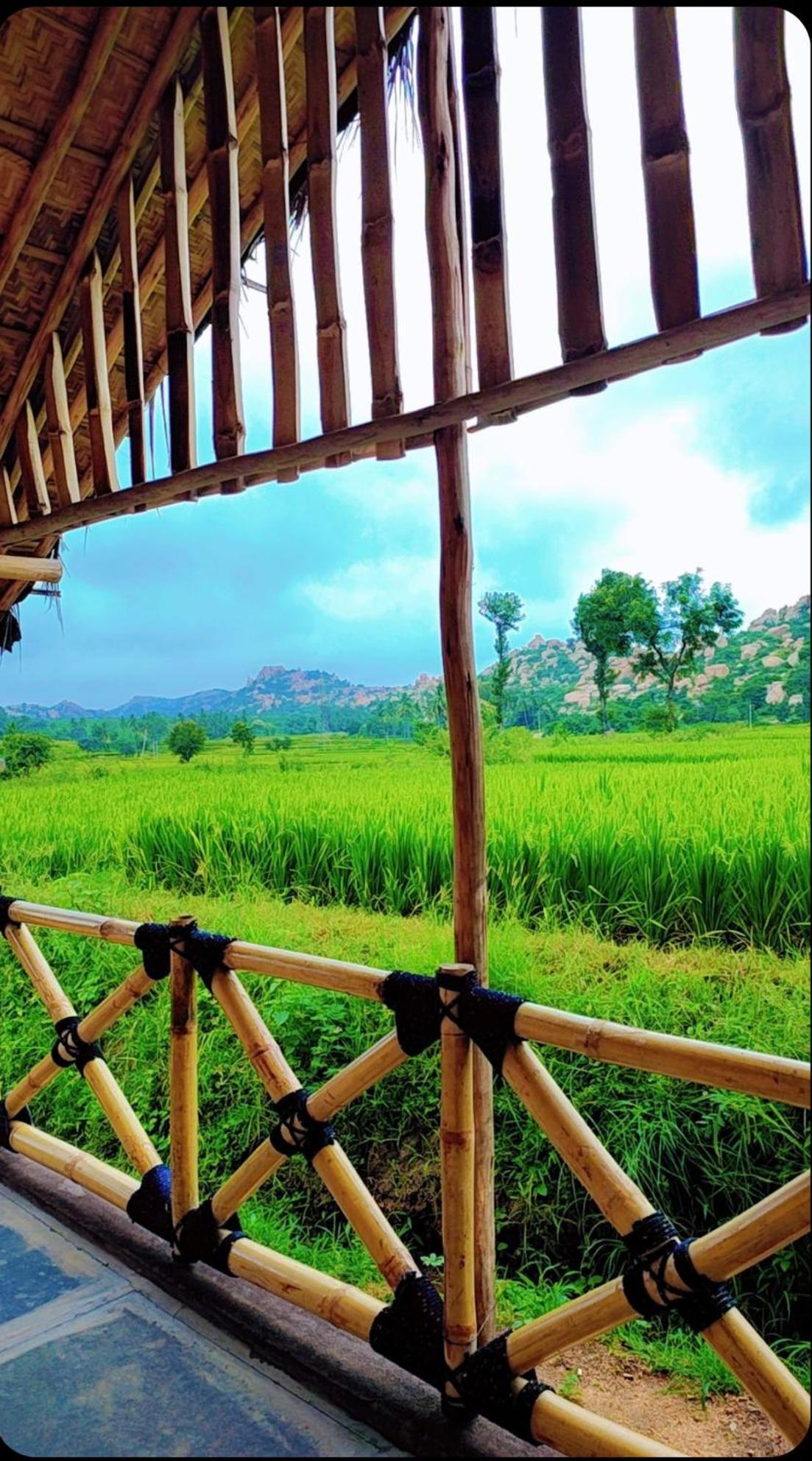 Om Shanti Om Home Stay & Cafe هامبي المظهر الخارجي الصورة